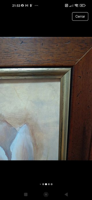 3 Cuadros tulipanes - Decoración hogar