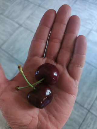 Limpieza en carnicería