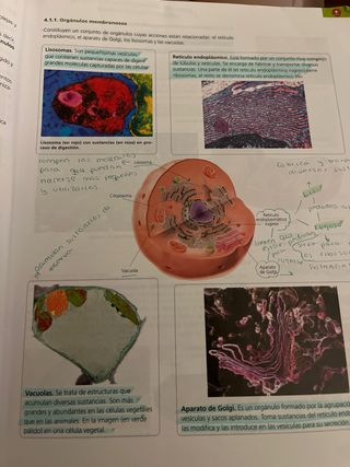 Inicia Biología y Geología 4.º ESO. Libro del a...
