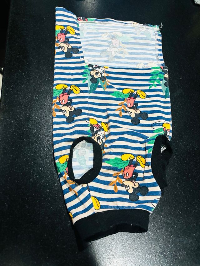 Ropa verano gato de Mickey Mouse