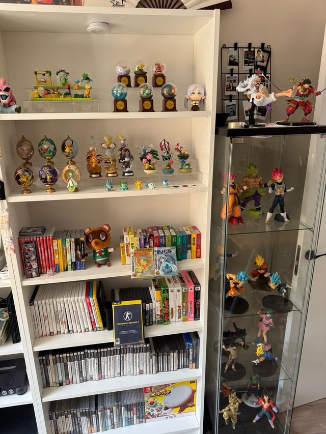 Colección privada de figuras manga y videojuegos