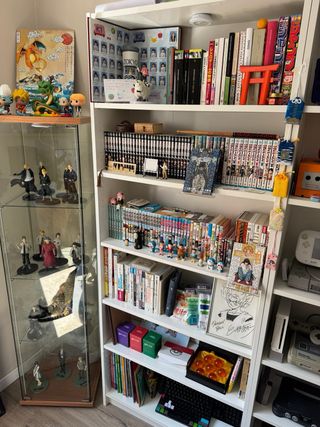 Colección privada de figuras manga y videojuegos