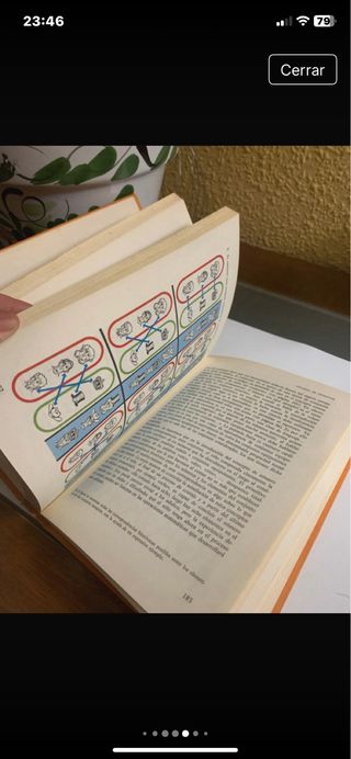 Los padres descubren las matemáticas
