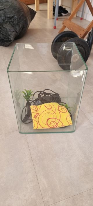 Acuario de cristal - pecera
