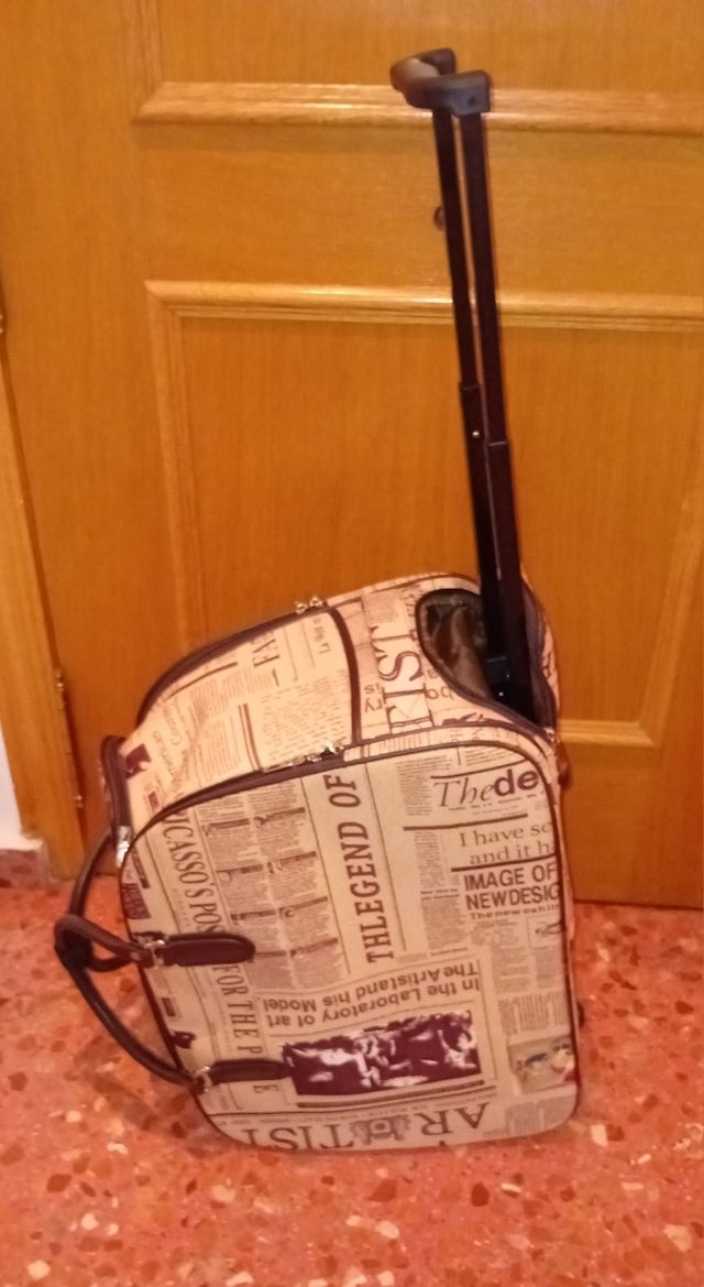 Maleta de viaje - Beige y marrón