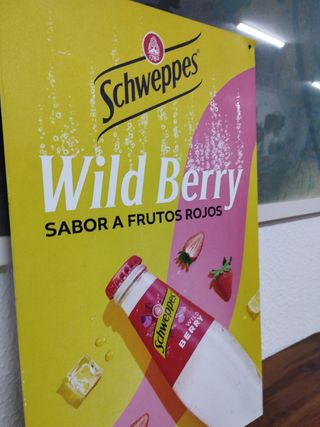 Chapa Schweppes Wild Berry