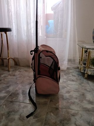 Mochila transportín PawHut mascotas