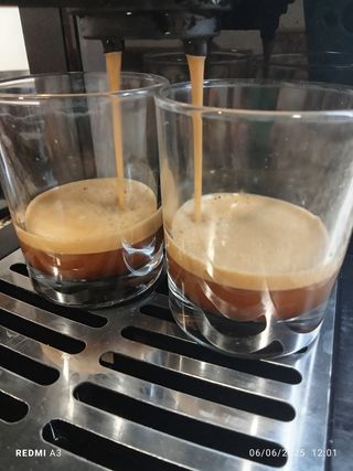 Cafetera Espresso Gaggia Viva Deluxe