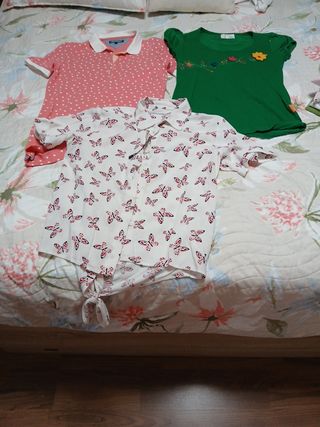 3 Blusas: Polo, Camiseta, Camisa