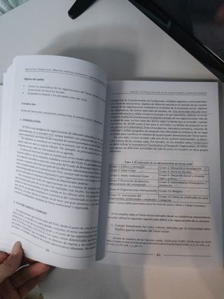 Tercer sector y trabajo social. Derechos, redes...
