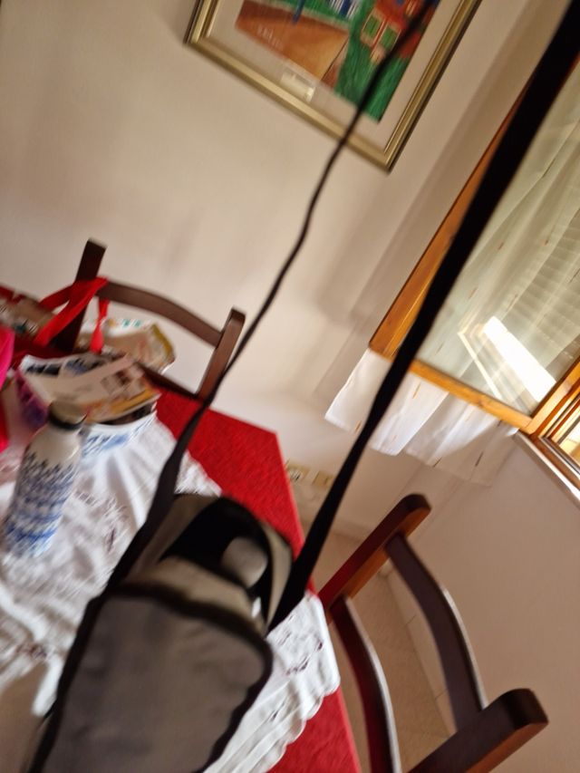 Borsa termica Crivit - Grigia