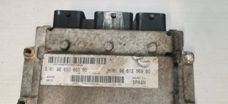 9665066380 CENTRALITA MOTOR