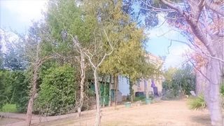 Chalet en venta en Joc de la Bola - Camps d'Esports - Ciutat Jardí - Montcada en Lleida