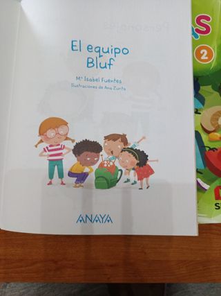 Punto de lectura 2  El equipo Bluf