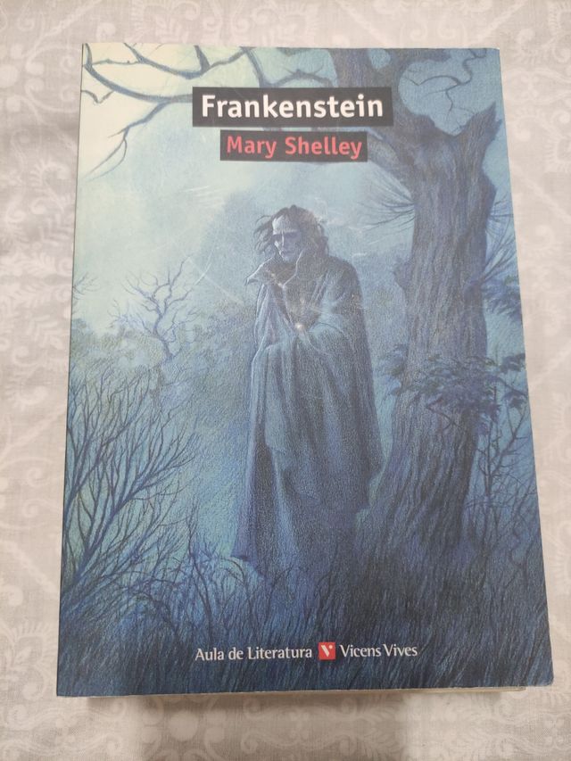 Frankenstein - Aula De Literatura (Spanish Edit...