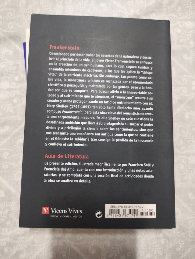 Frankenstein - Aula De Literatura (Spanish Edit...