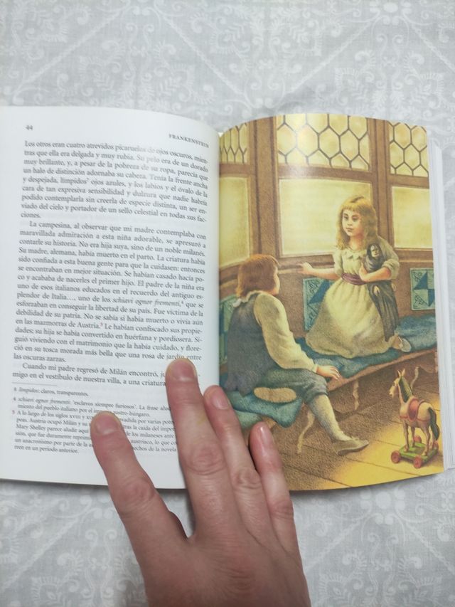 Frankenstein - Aula De Literatura (Spanish Edit...