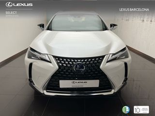 Lexus UX250h PREMIUM 2021  REF 0769