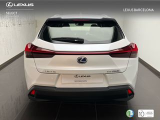 Lexus UX250h PREMIUM 2021  REF 0769