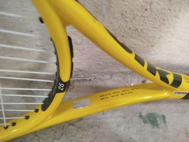 Raqueta Volkl Organix X10