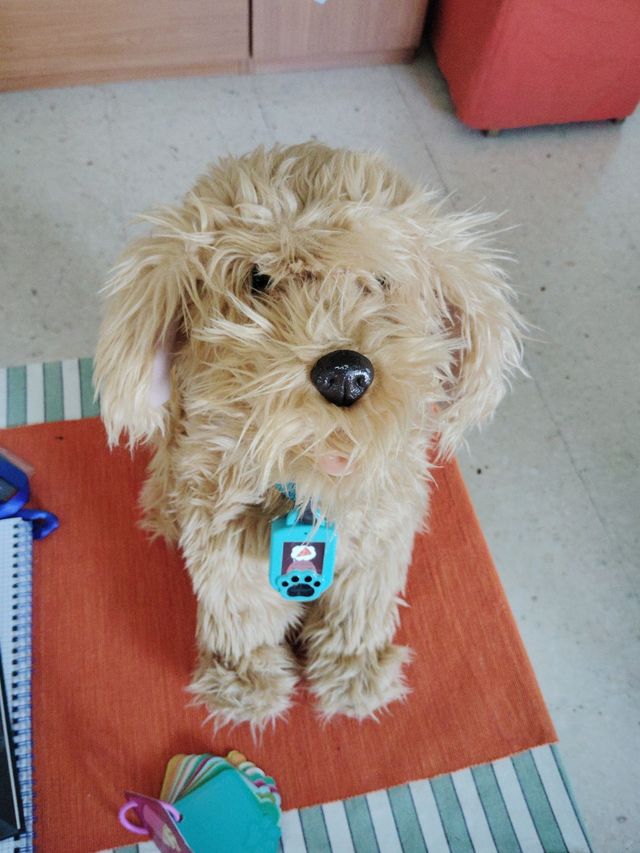 Moji, perro interactivo