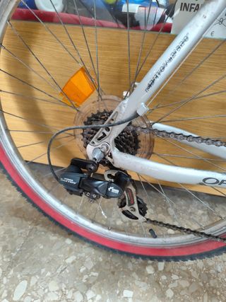 Bicicleta Orbea montaña.