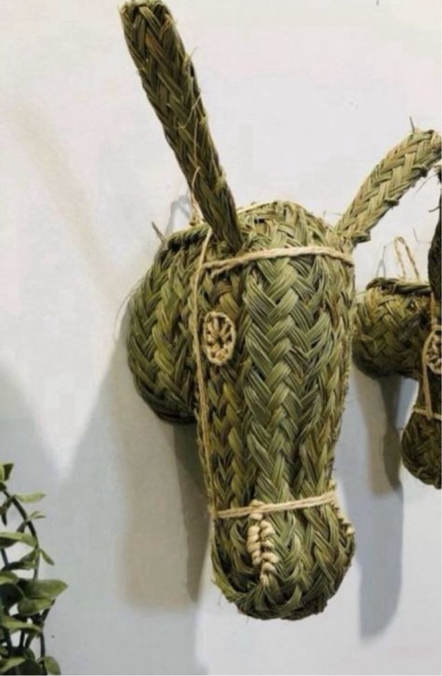 Testa d'asino decorativa