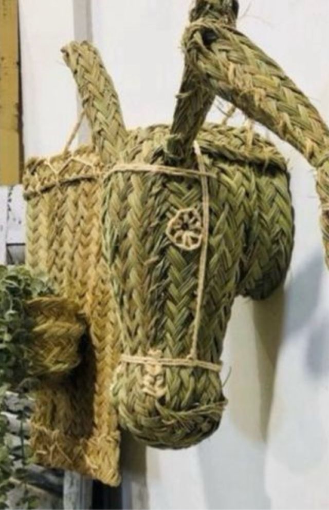 Testa d'asino decorativa