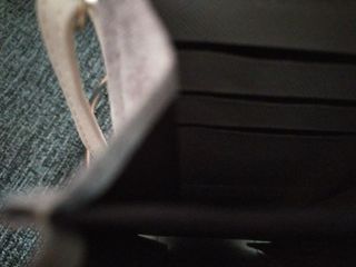 Bolsos