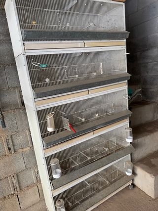 Jaulas modulares para pájaros