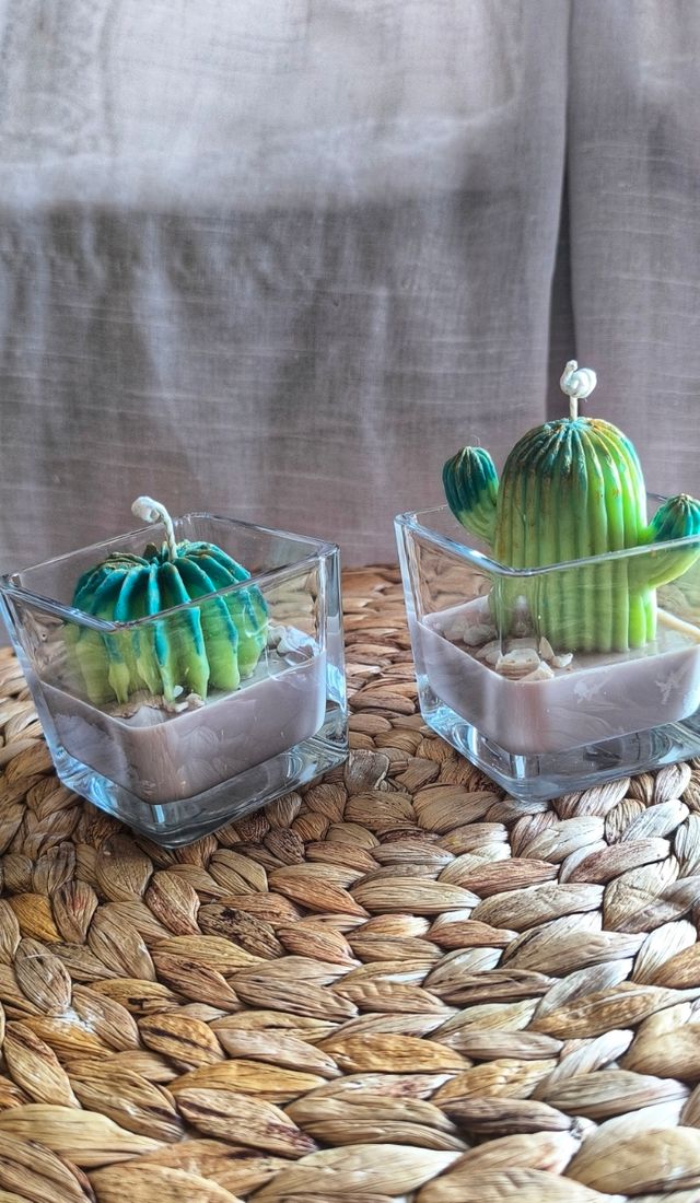 2 Velas Cactus Decorativas