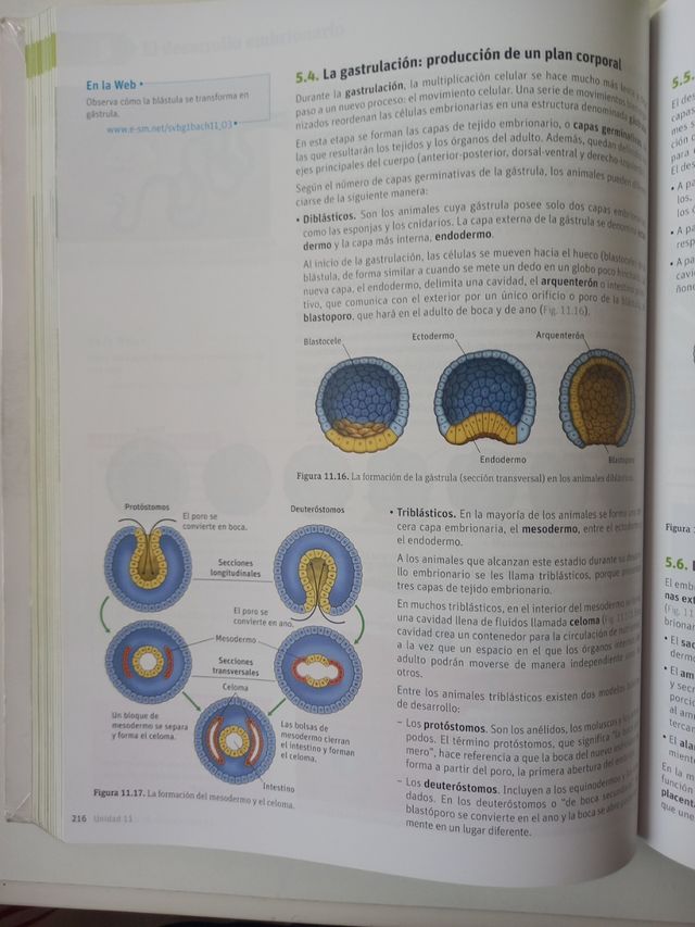 Biología y geología. 1 Bachillerato. Savia (Spa...