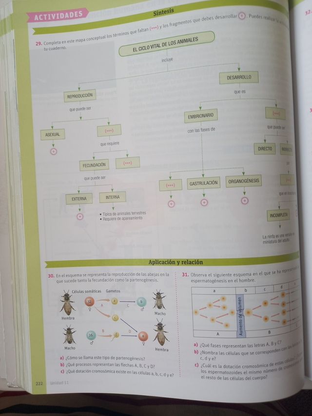 Biología y geología. 1 Bachillerato. Savia (Spa...