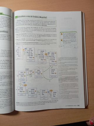 Código Bruño Biología 2 Bachillerato