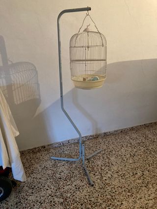 Jaula pajaros vintage