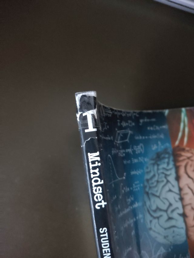 Mindset 1ºbachillerato Student