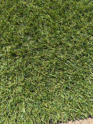 Cesped artificial 22mm