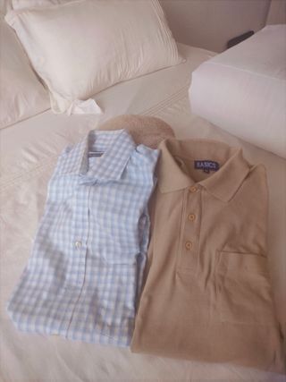 Camisa Massimo Dutti + Polo Basics