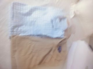 Camisa Massimo Dutti + Polo Basics