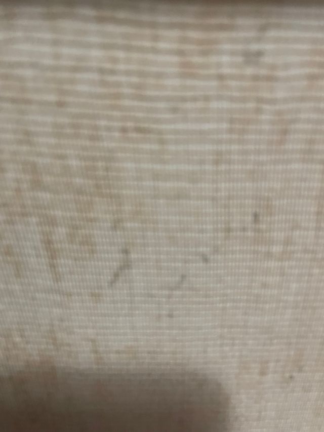 Cuadro al óleo: Retrato de mujer