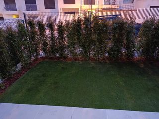 Jardín: Mantenimiento y Limpieza