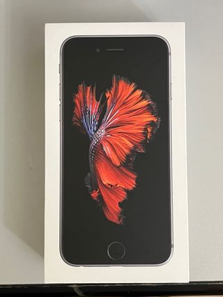iPhone 6s Gris Espacial