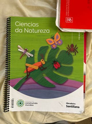 CIENCIAS DA NATUREZA 2 PRIMARIA CONSTRUINDO MUNDOS