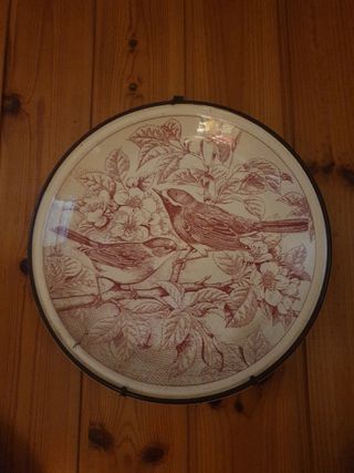 5 Piatti Decorativi Uccelli