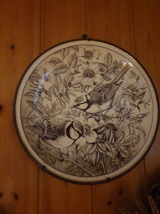 5 Piatti Decorativi Uccelli