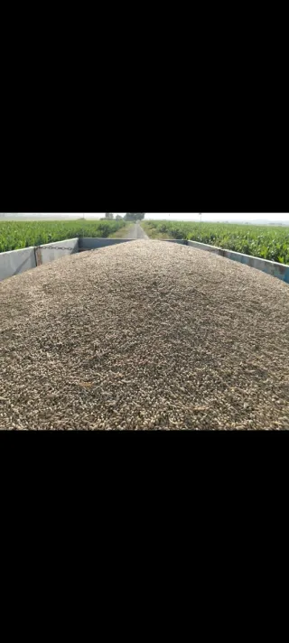 Remolque agrícola