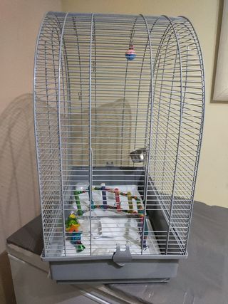 Jaula pajaros grande