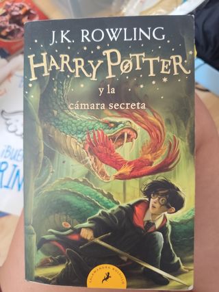Harry Potter y la cámara secreta (Harry Potter 2)