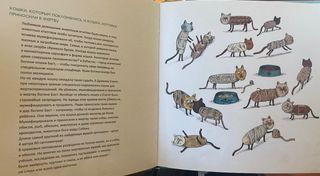 ¿Quién le teme a las momias?