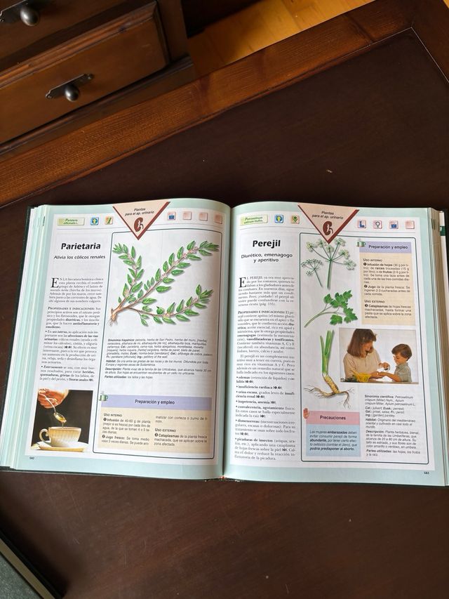 Enciclopedia PLANTAS QUE CURAN
